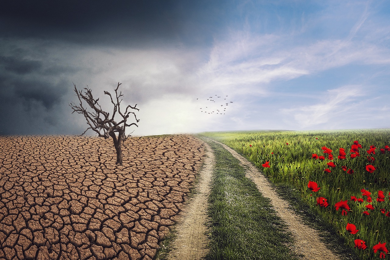 erfahren sie alles über den klimawandel, seine ursachen, auswirkungen auf umwelt und gesellschaft sowie lösungen zum schutz unseres planeten. bleiben sie informiert mit den neuesten wissenschaftlichen erkenntnissen rund um den klimawandel.