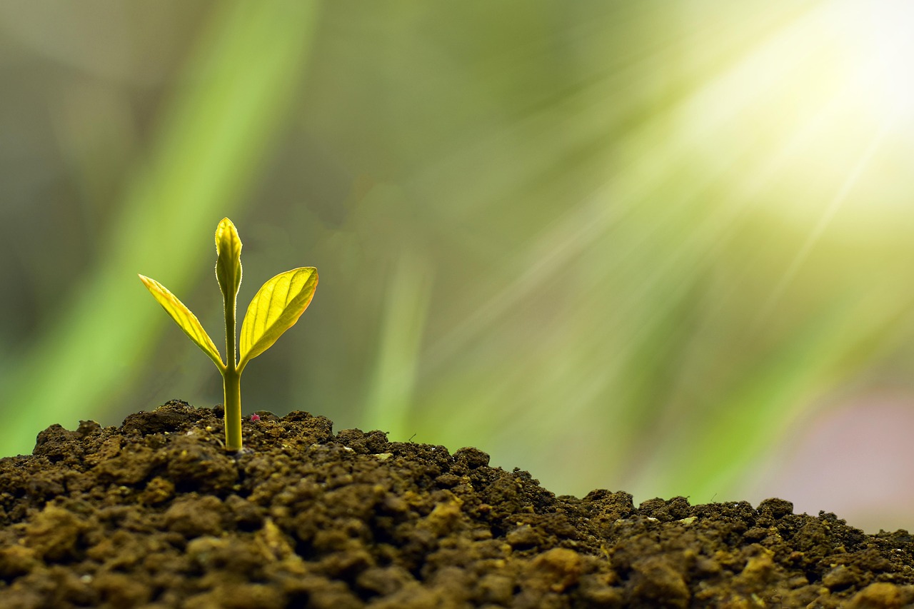 entdecken sie, wie nachhaltigkeit unser leben und unsere zukunft prägt. erfahren sie mehr über nachhaltige praktiken, tipps und innovationen für eine umweltfreundliche welt.