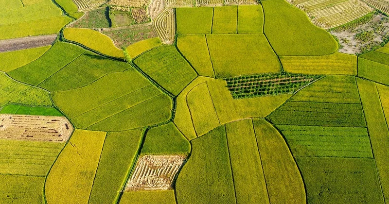 Was die Dauer am stärksten beeinflusst